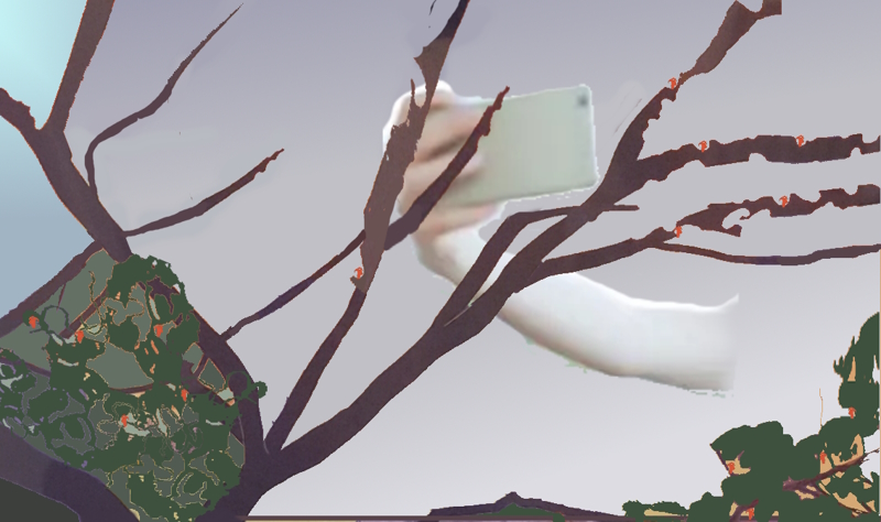 Vue depuis l'arrière